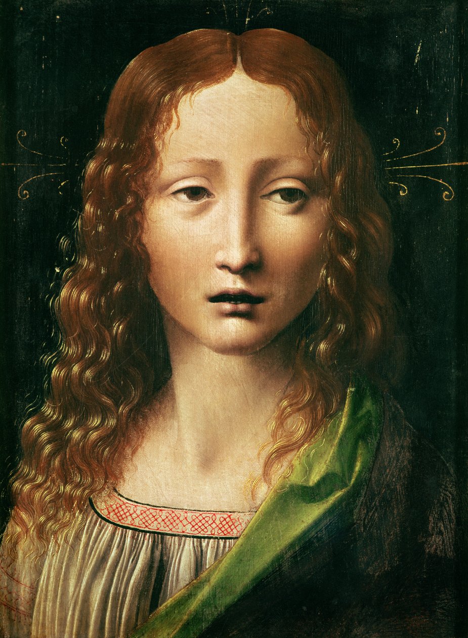 Head of the Saviour by Leonardo da Vinci