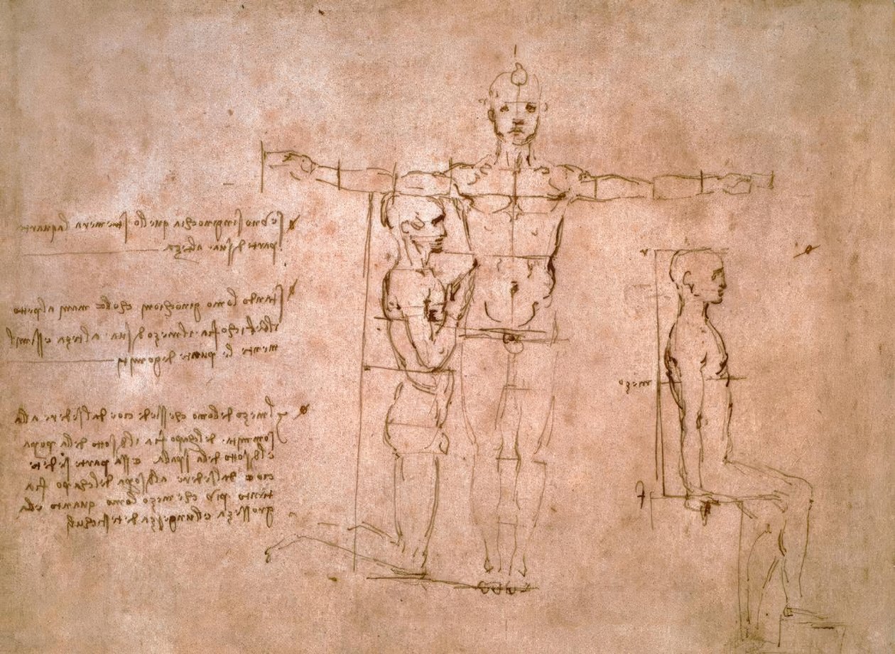 Comparative Proportion Studies by Leonardo da Vinci