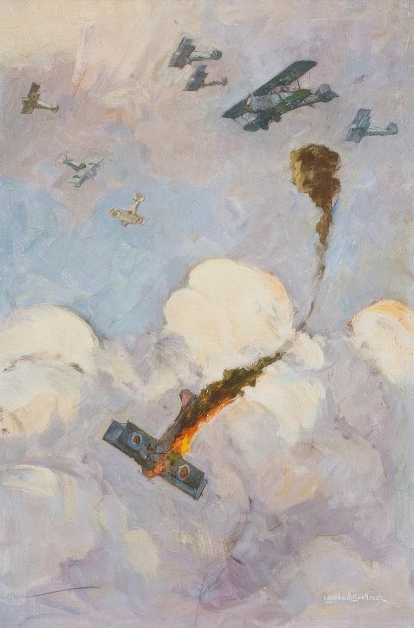 Dogfight by Leonhard Sandrock