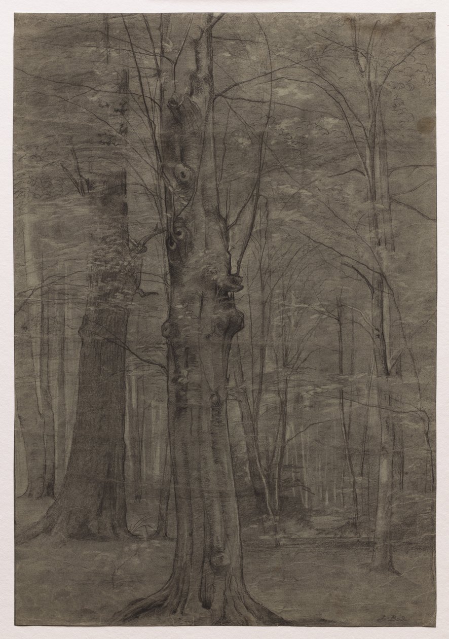 Trees by Leopold Bode