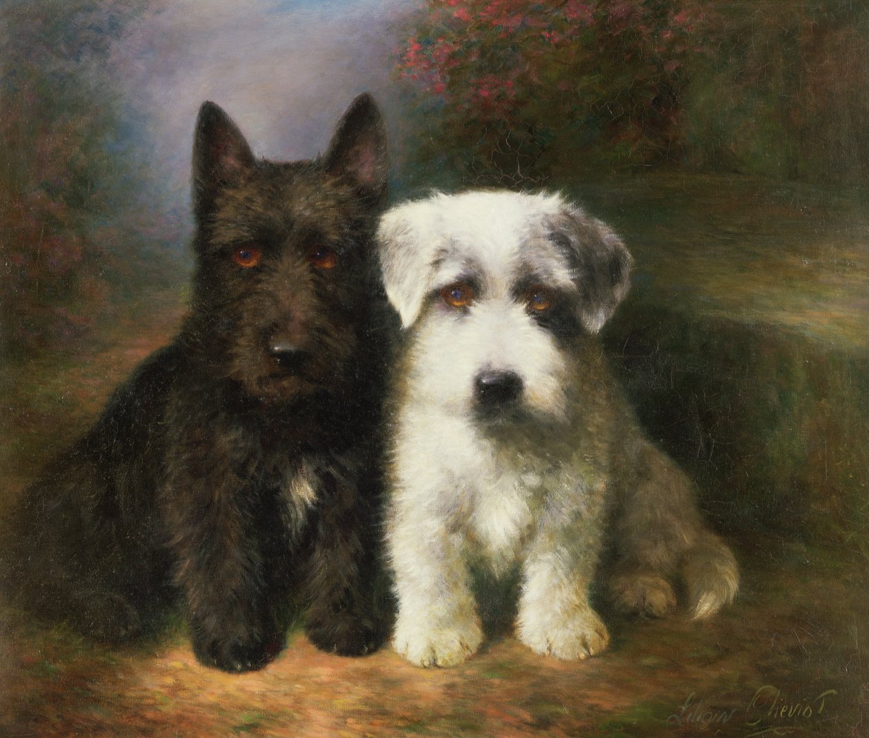 A Scottish and a Sealyham Terrier by Lilian Cheviot