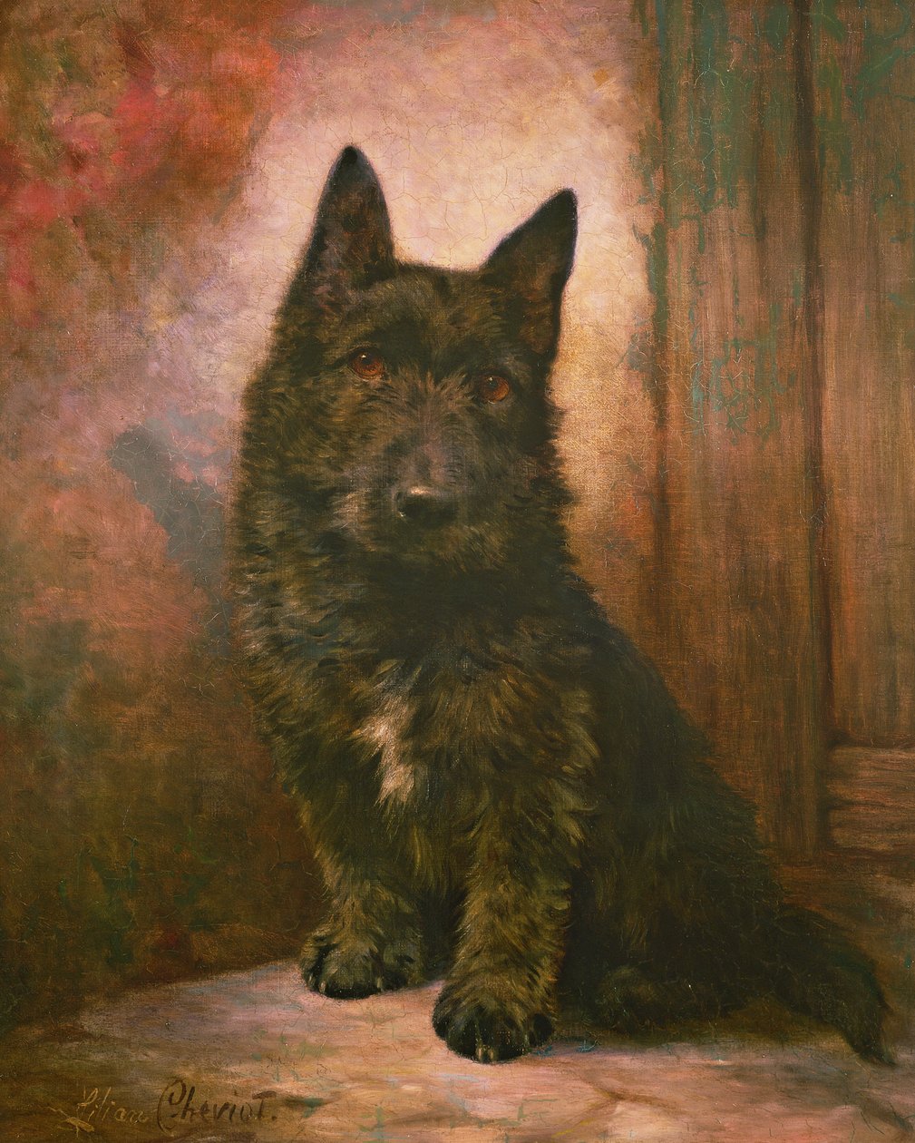 Scottie Puppy by Lilian Cheviot