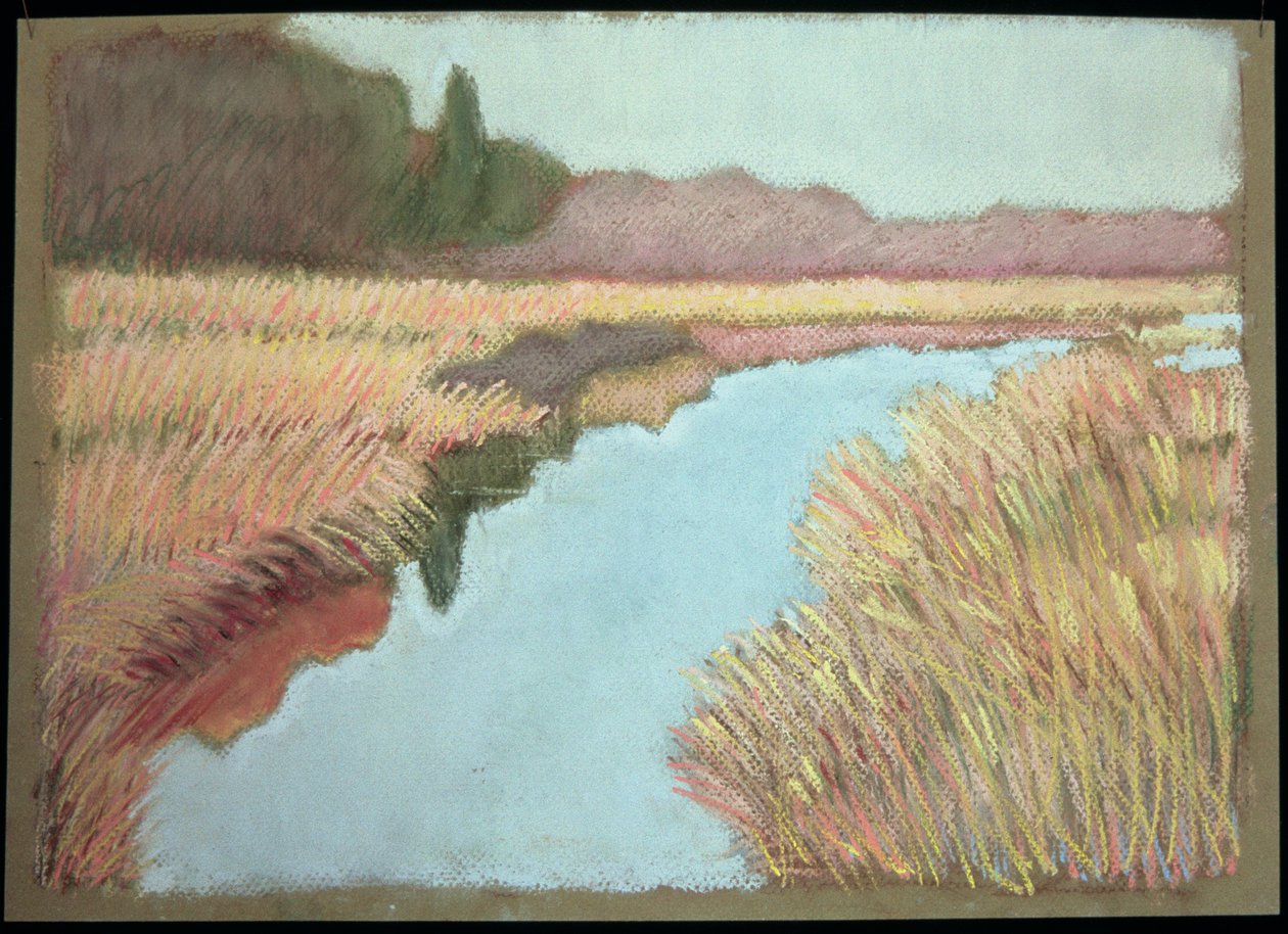Full Tide, 1990 by Lillian Delevoryas