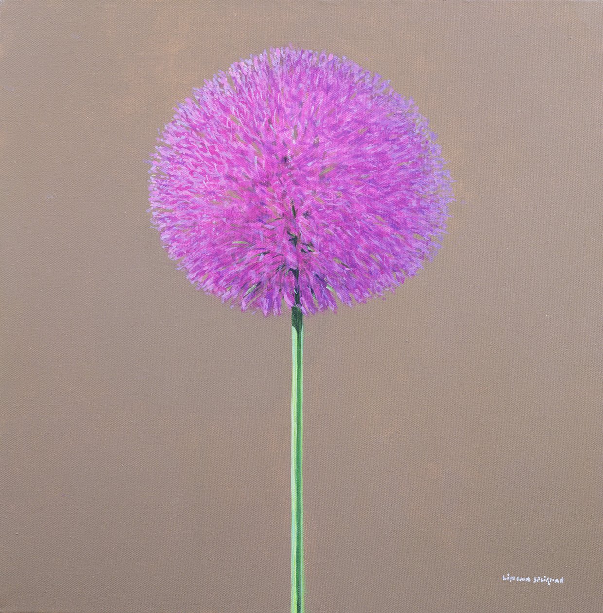 Alium by Lincoln Seligman