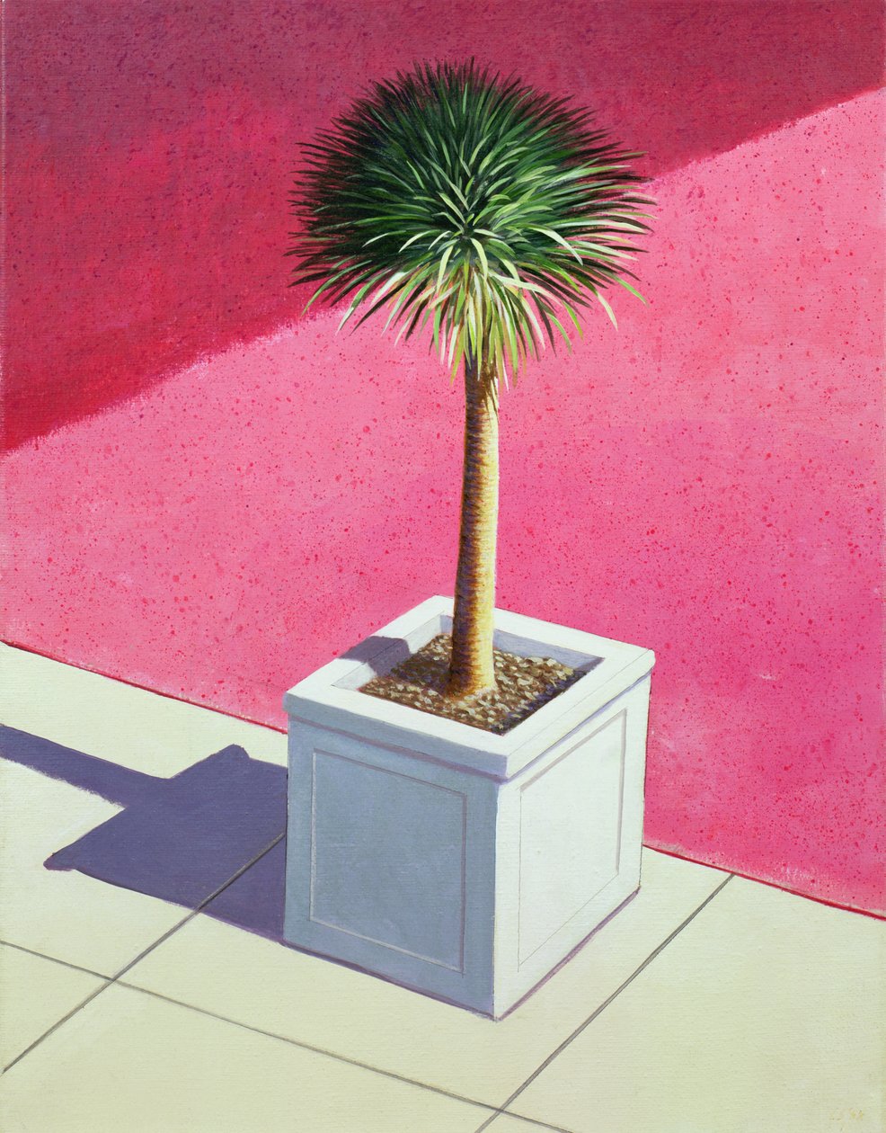 Small palm by Lincoln Seligman