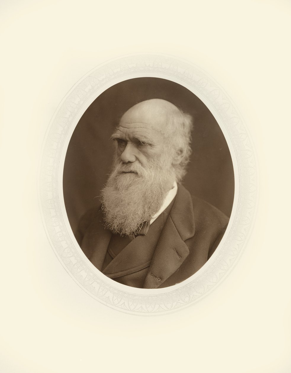 Charles Robert Darwin by Lock and Whitfield