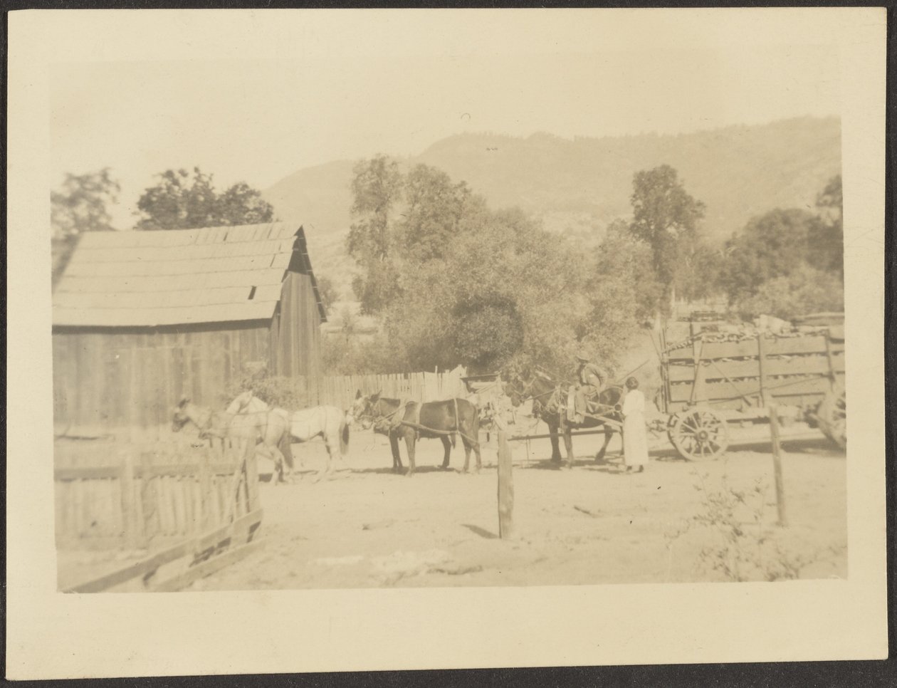 Barnyard Scene by Louis Fleckenstein