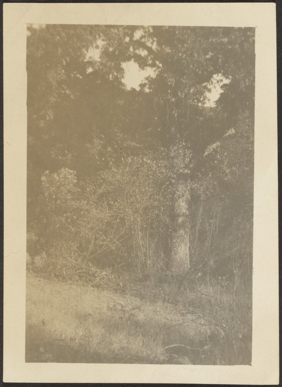 Landscape by Louis Fleckenstein