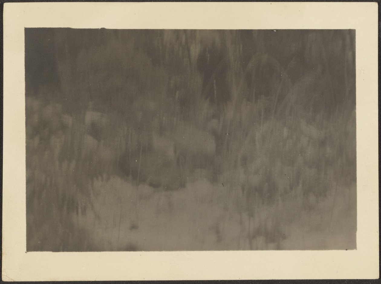 Landscape by Louis Fleckenstein