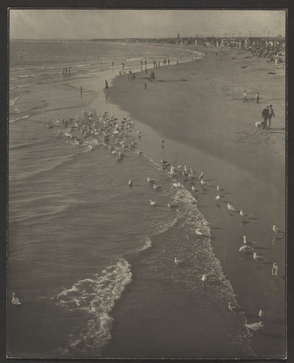 Newport Beach by Louis Fleckenstein