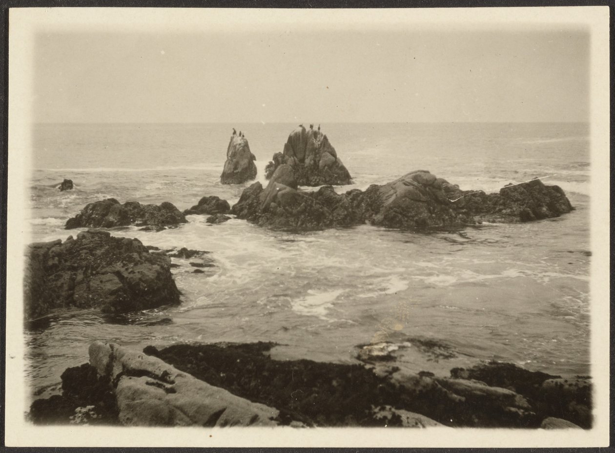 Seascape by Louis Fleckenstein