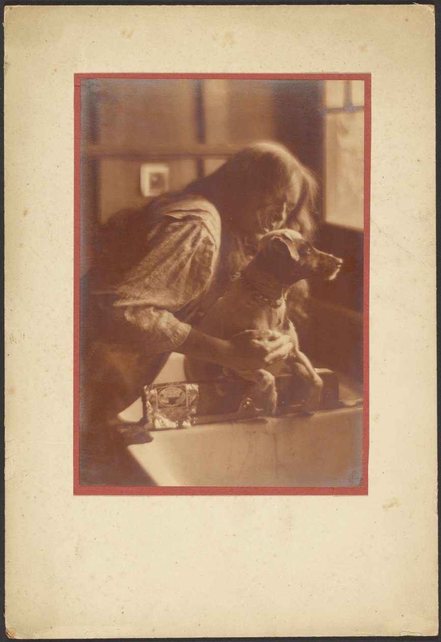 Shampoo Day by Louis Fleckenstein