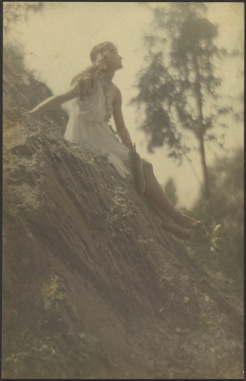 The Echo by Louis Fleckenstein