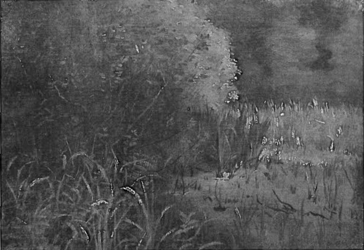 In the Reeds by Lovis Corinth