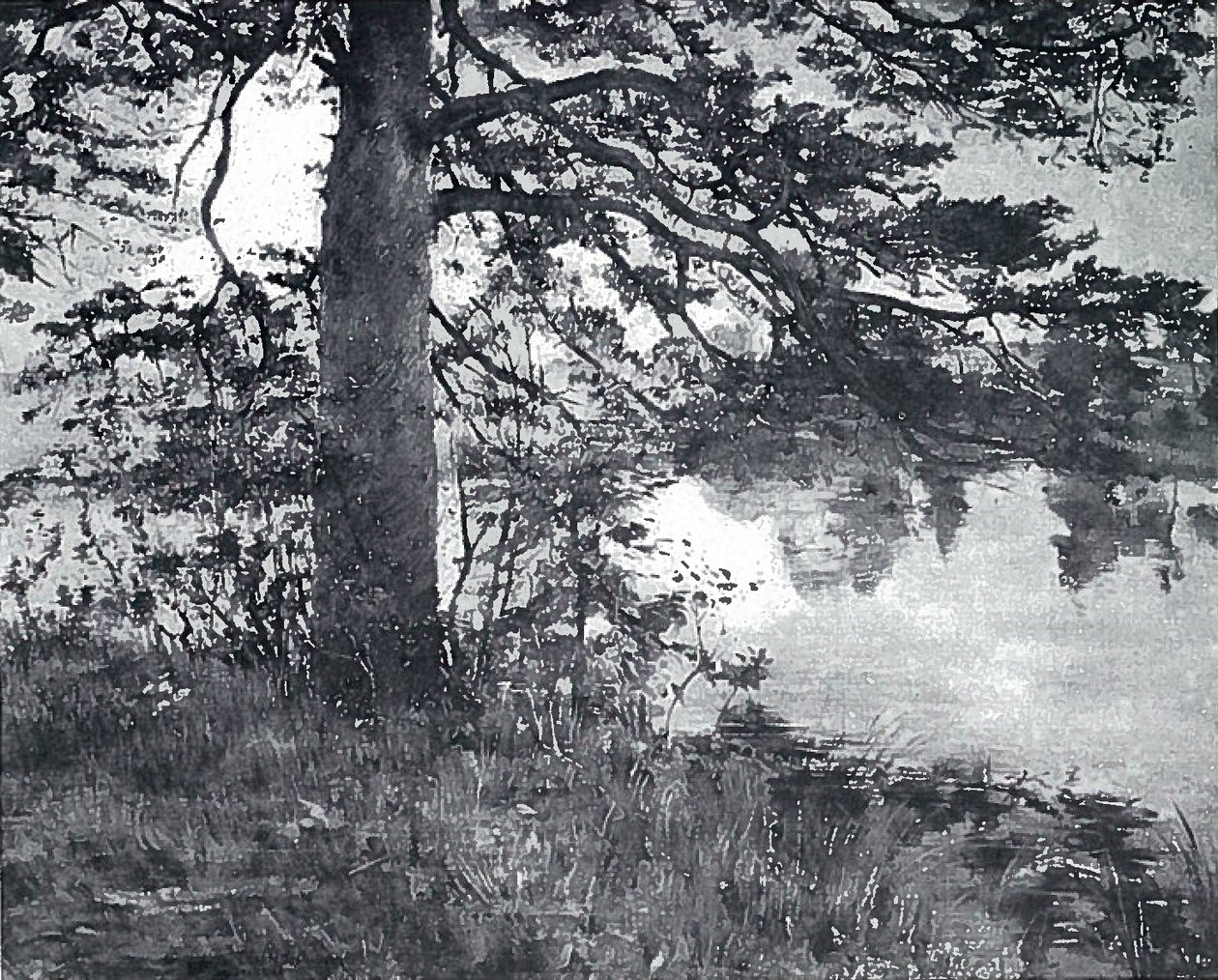 Pine by the Water by Lovis Corinth