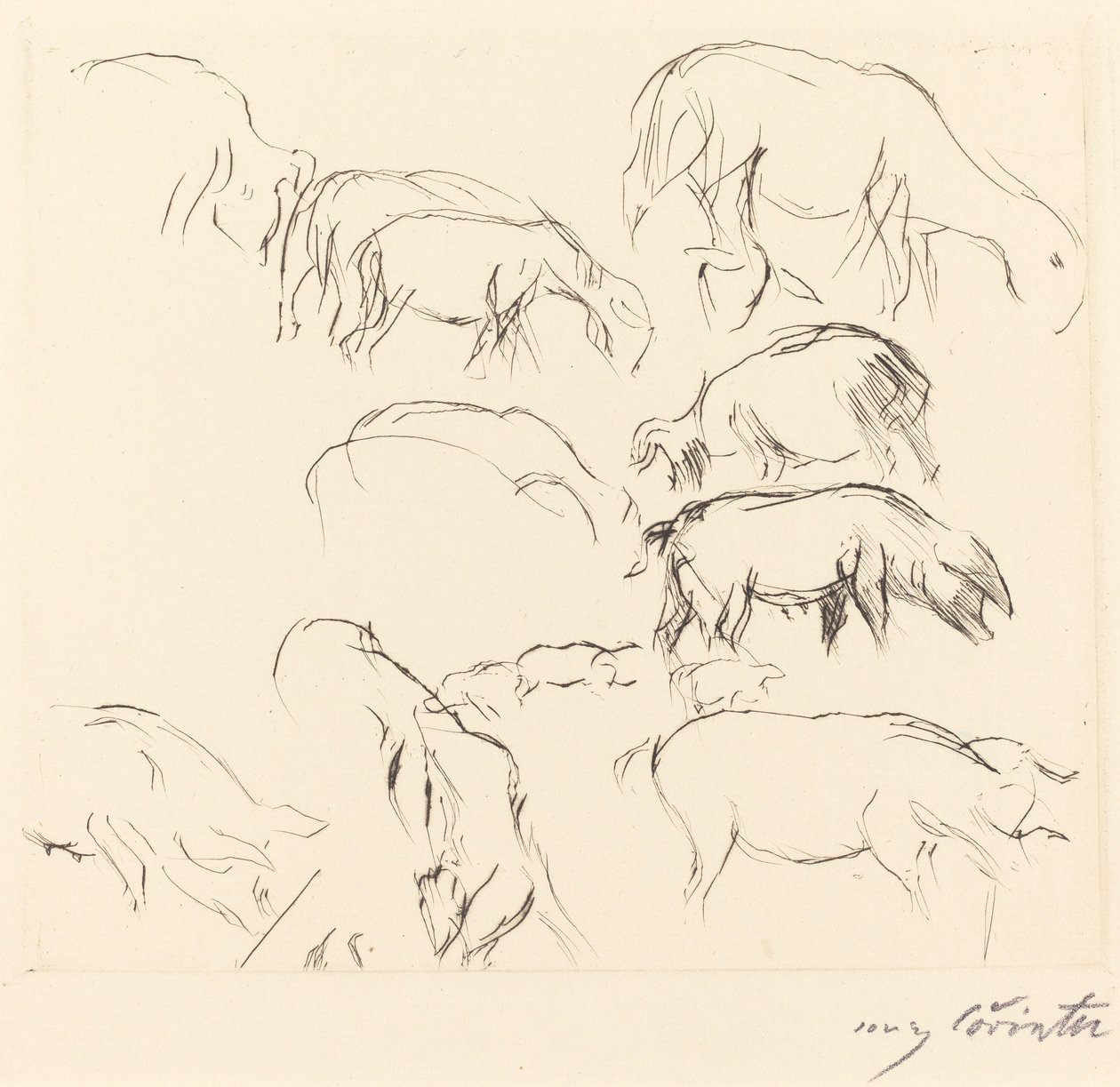 Animal Studies by Lovis Corinth