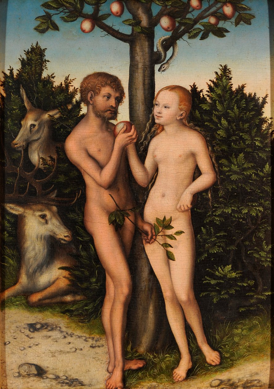 Adam and Eve by Lucas Cranach the Elder