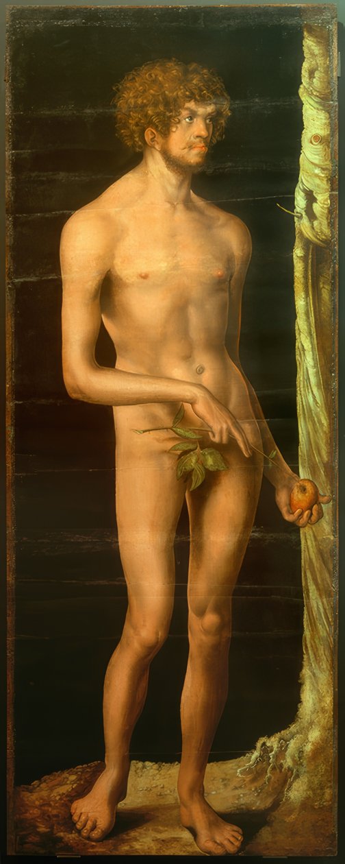Adam by Lucas Cranach the Elder