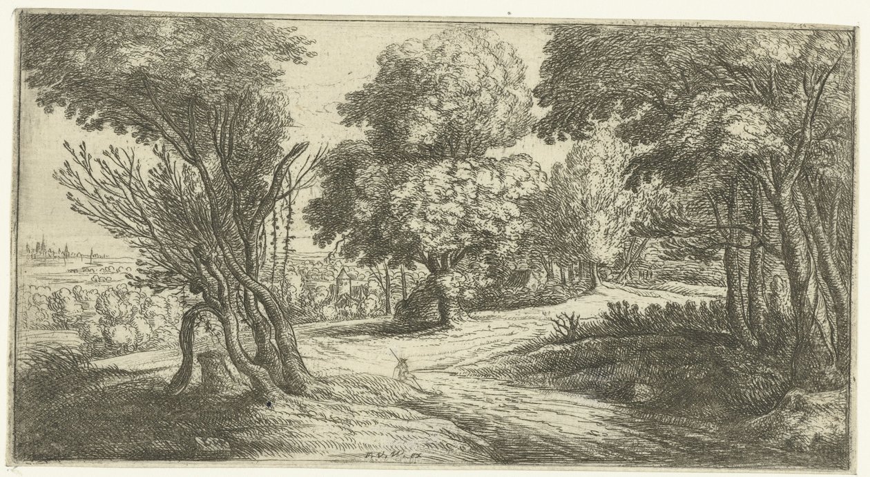 Forest Landscape by Lucas van Uden