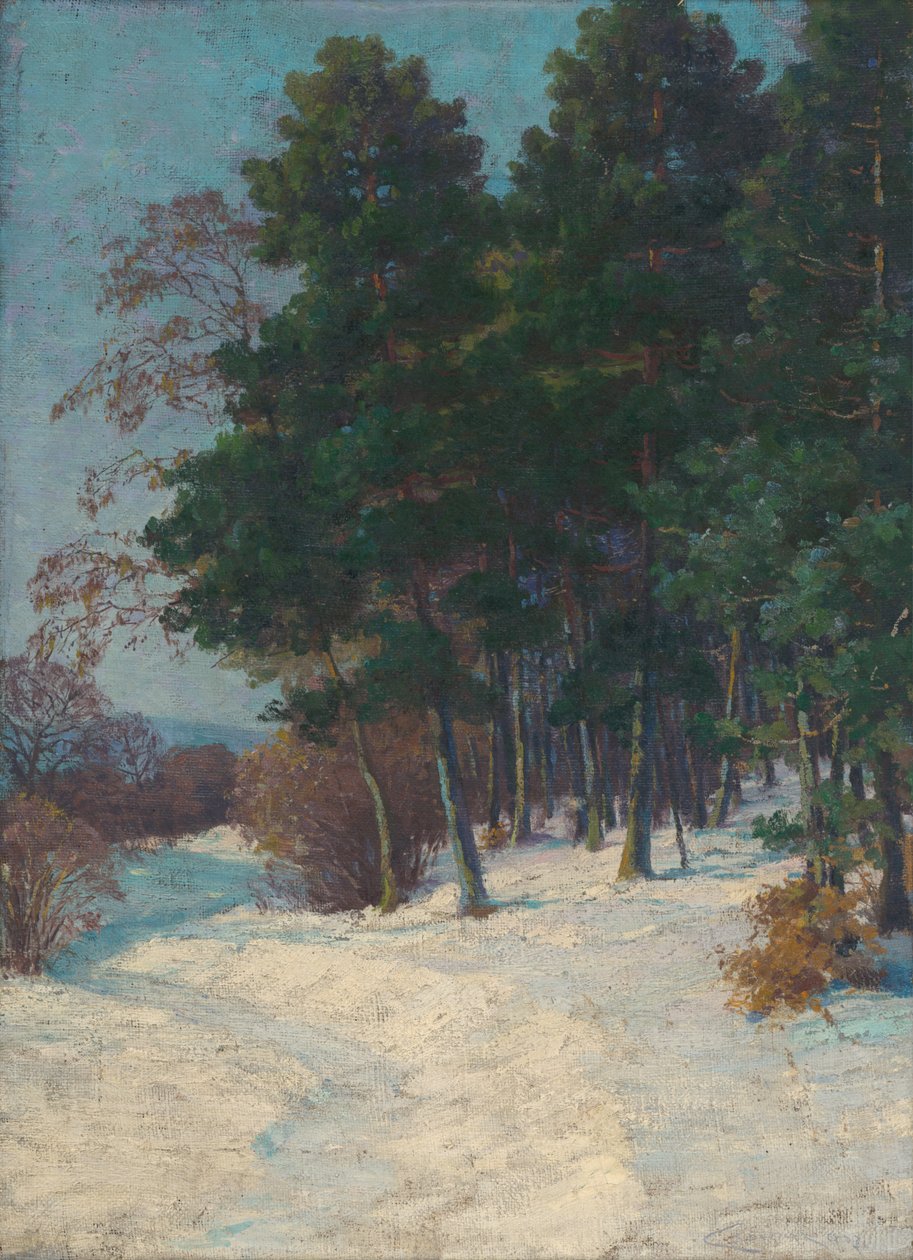Forest in Winter by Ludovit Cordak