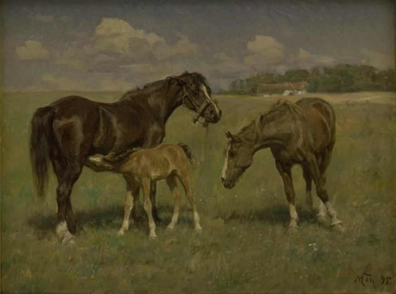 Three Horses in a Field by M. Therkildsen