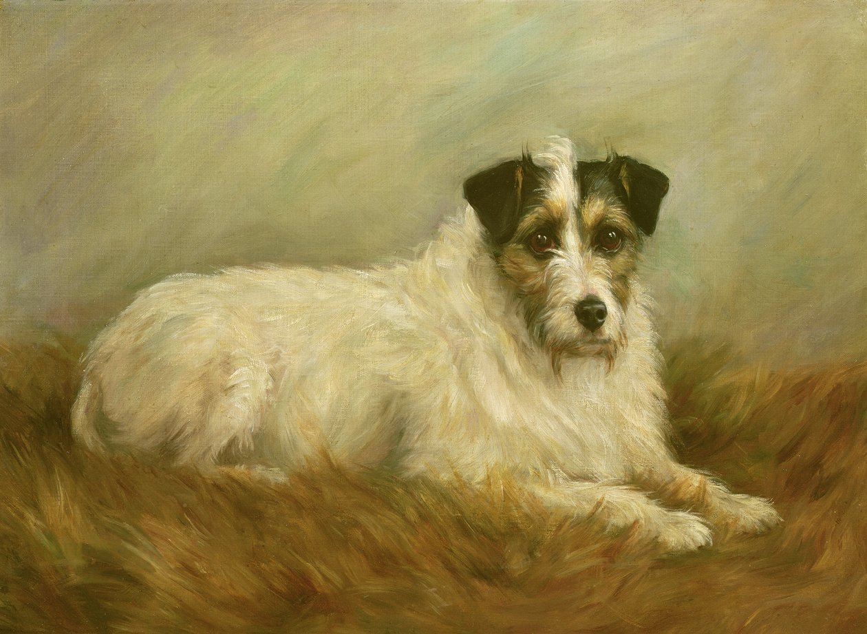 Terrier by Mabel Hastings