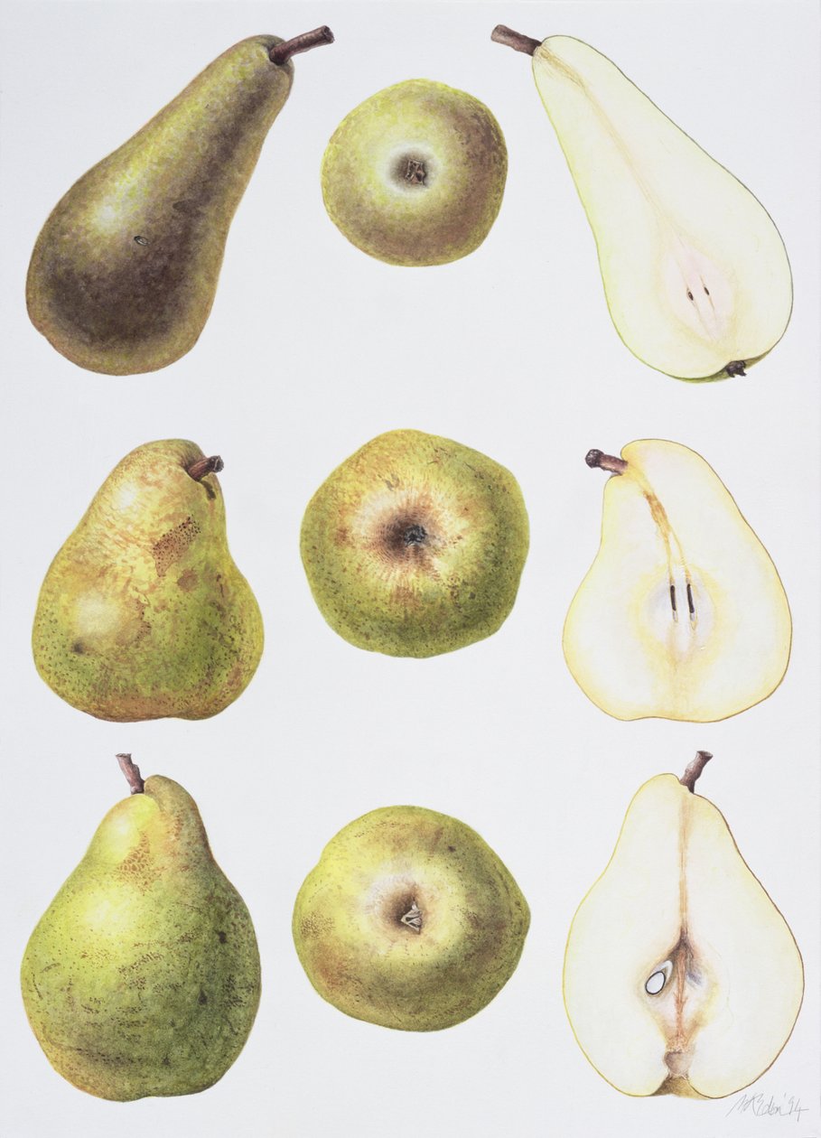 Six Pears by Margaret Ann Eden