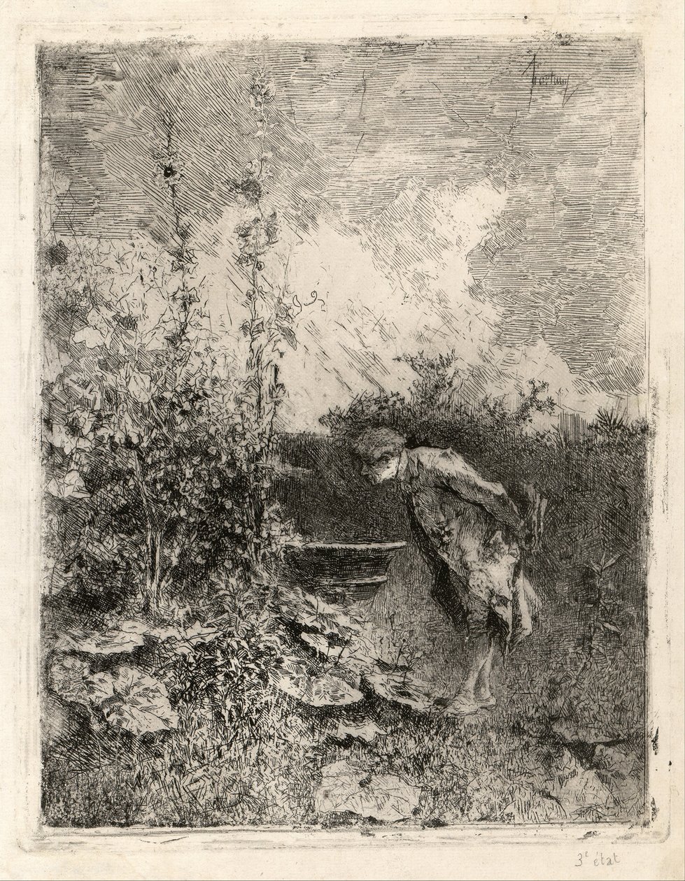The Botanist by Marià Fortuny