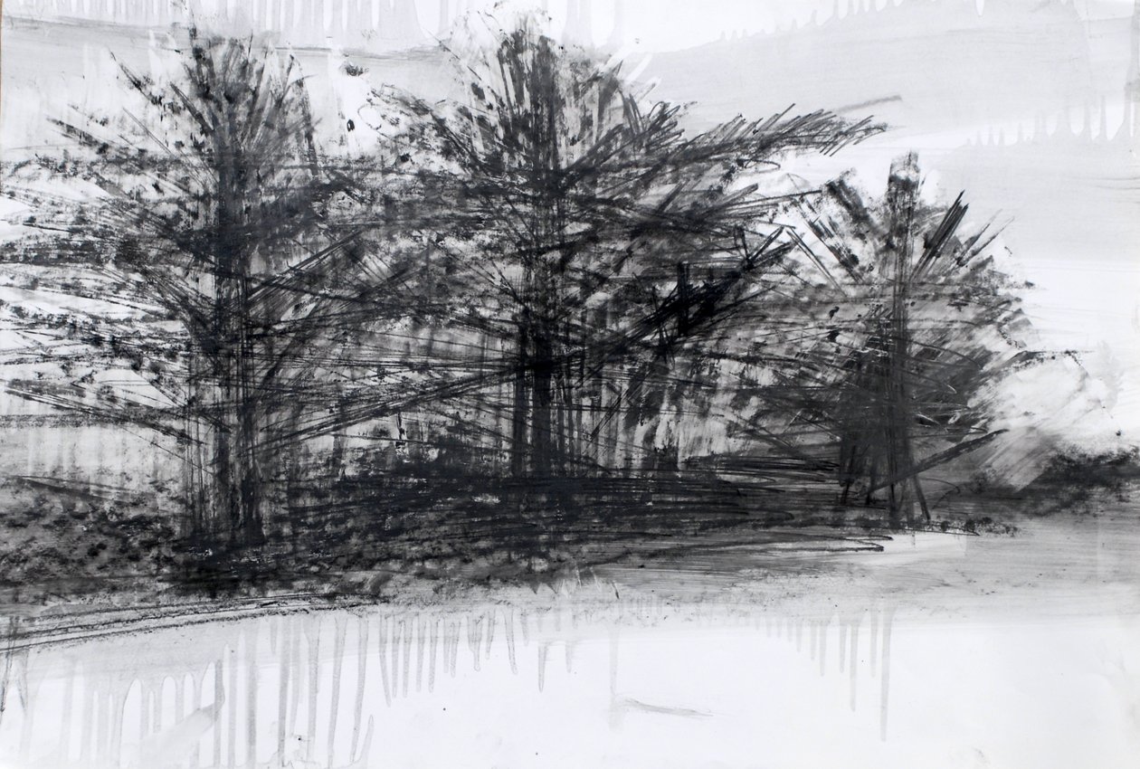 Trees by Marina Falco