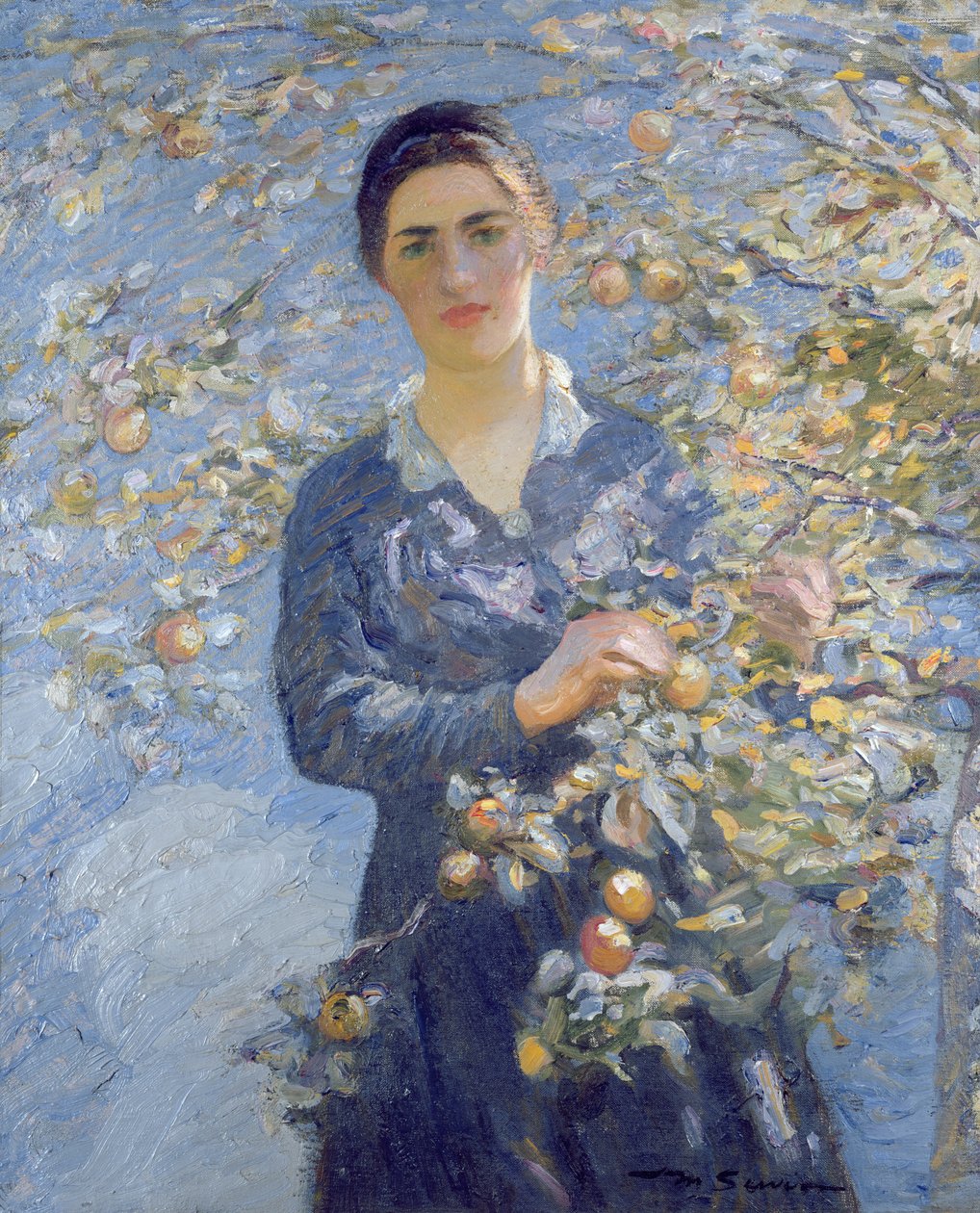 The Apple by Mark Senior