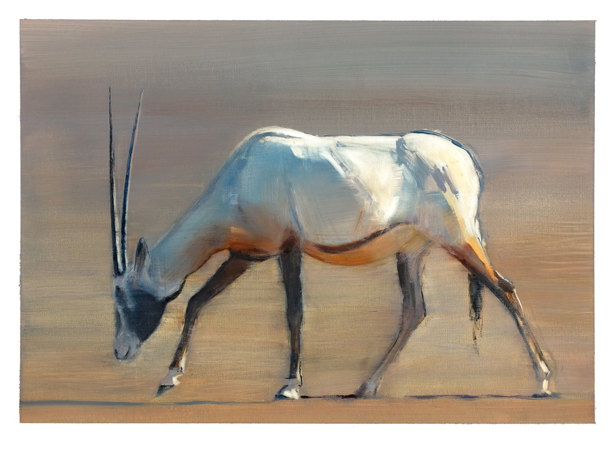 Arabian Oryx by Mark Adlington