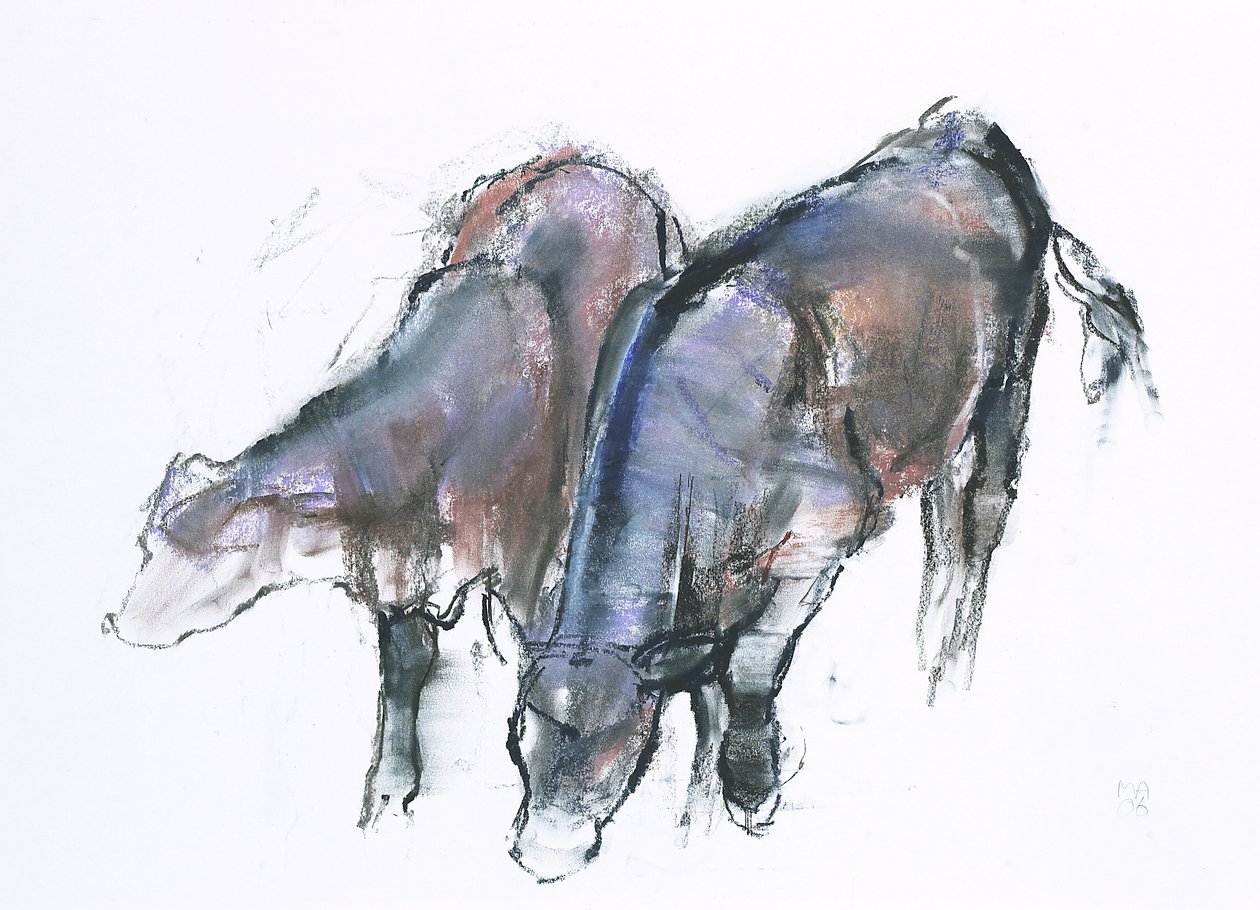Calves by Mark Adlington