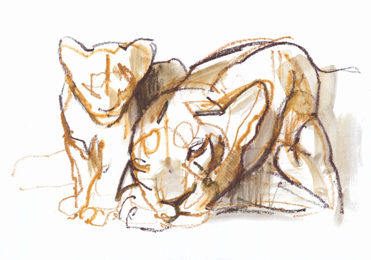 Mum by Mark Adlington