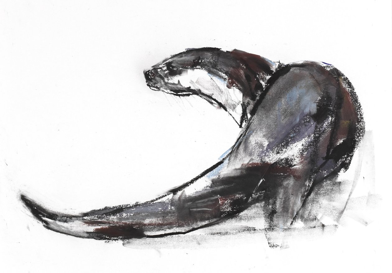 Rudder by Mark Adlington