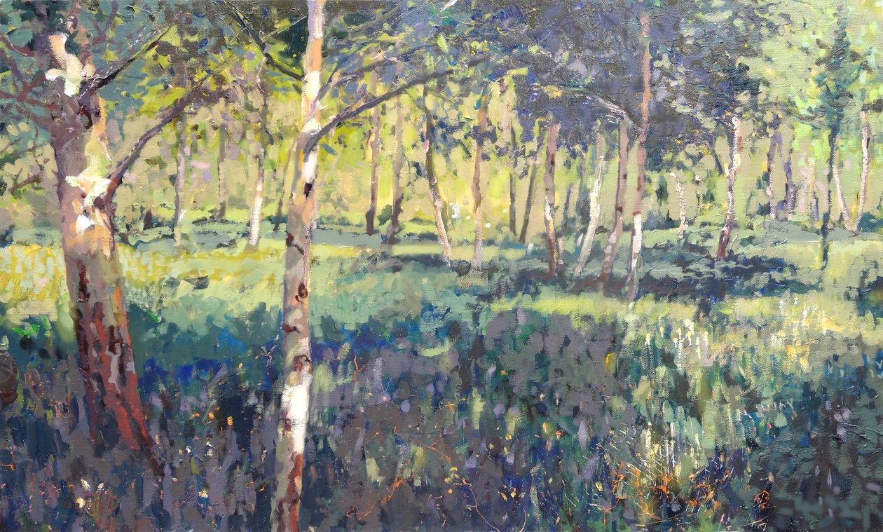 Woodland, 2014 by Martin Decent
