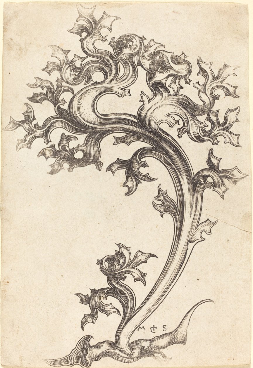 Thistle Ornament by Martin Schongauer