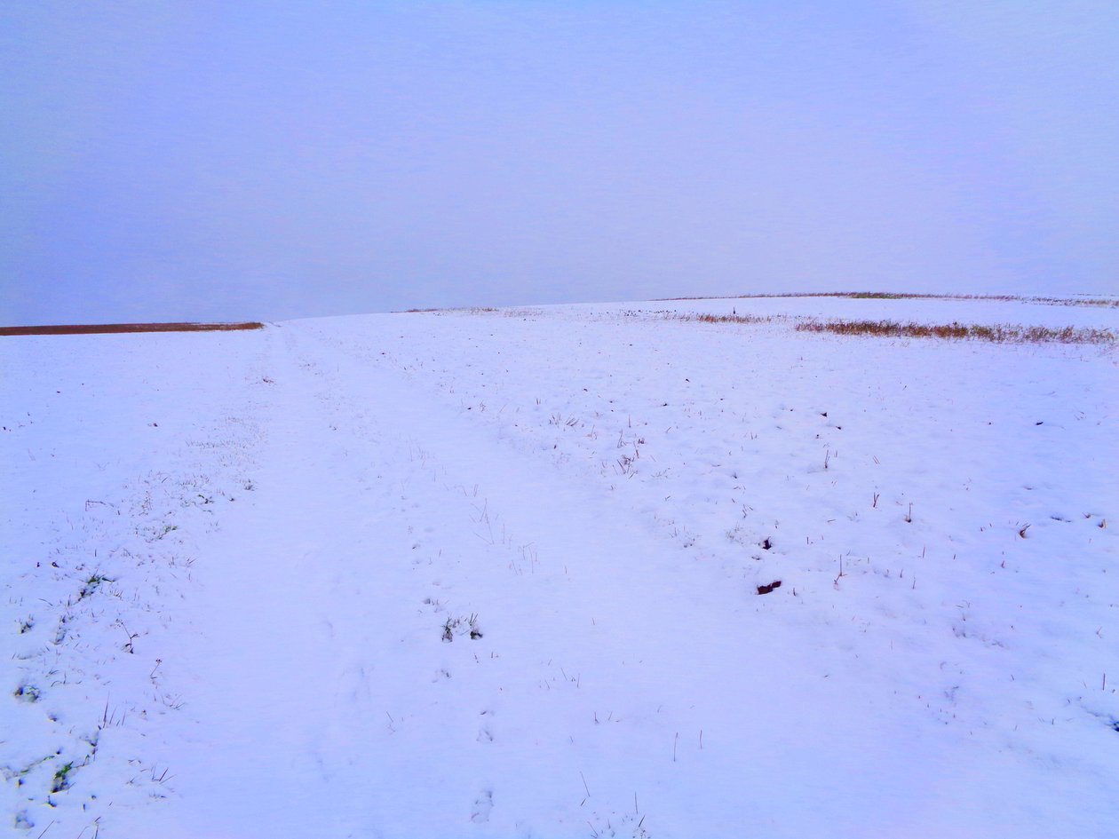 Fields in Winter by Martina Konitzky