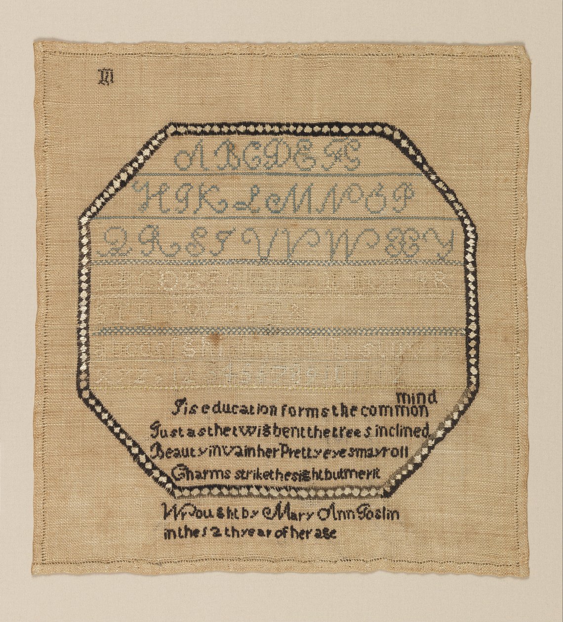 Sampler by Mary Ann Goslin