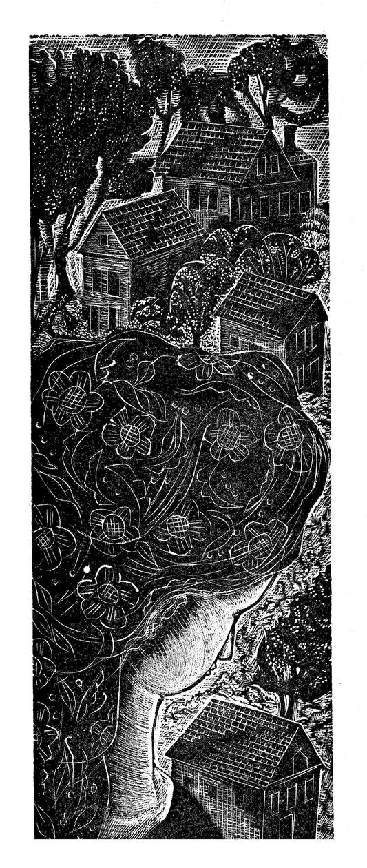 Home by Mary Kuper