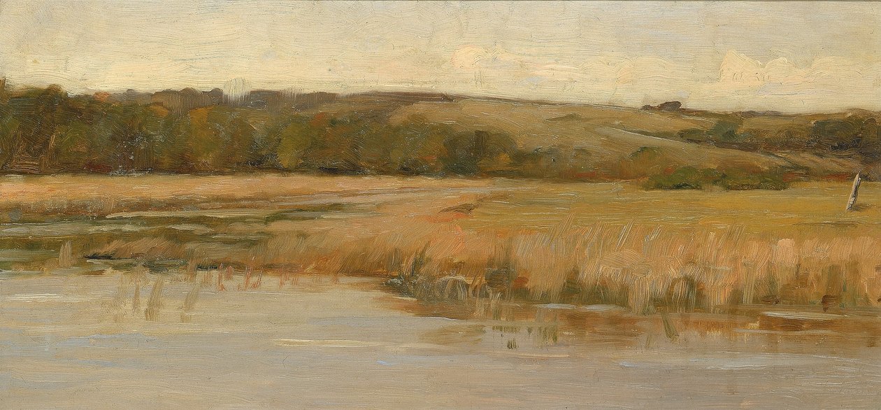 Hill and Marshland by Max Weyl