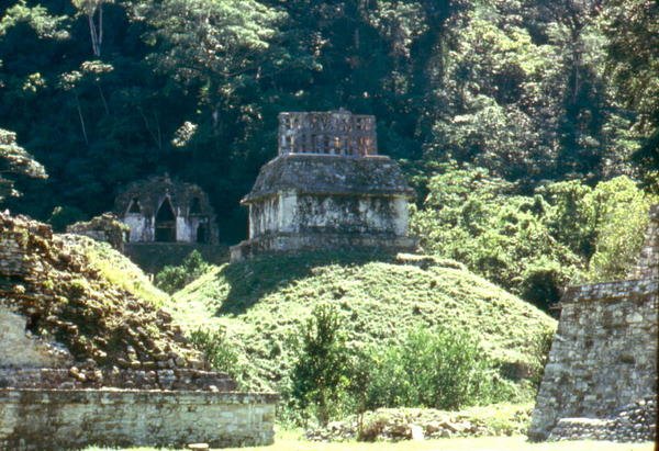 Mayan Temple XXI by Mayan