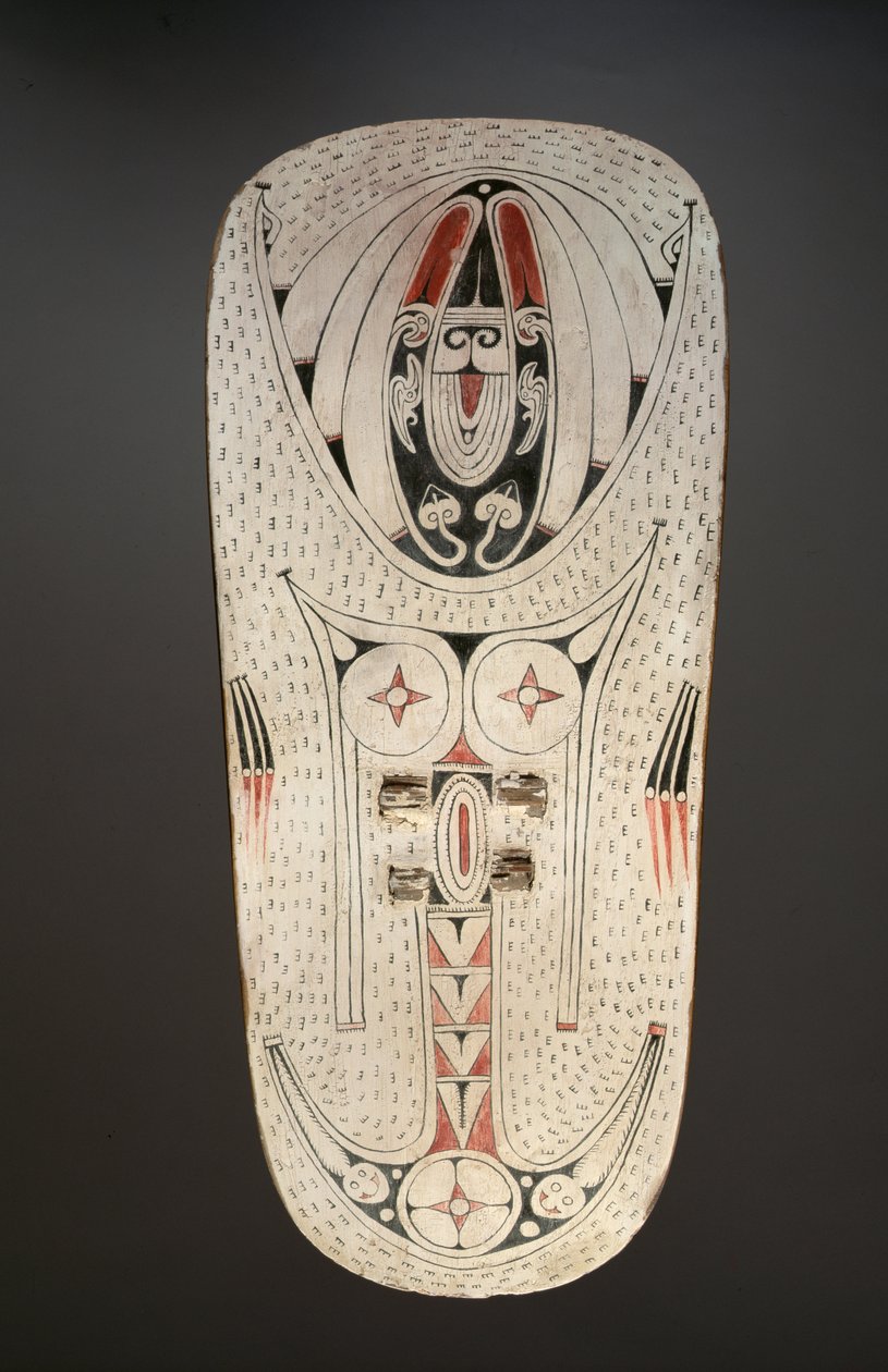 Shield by Melanesian