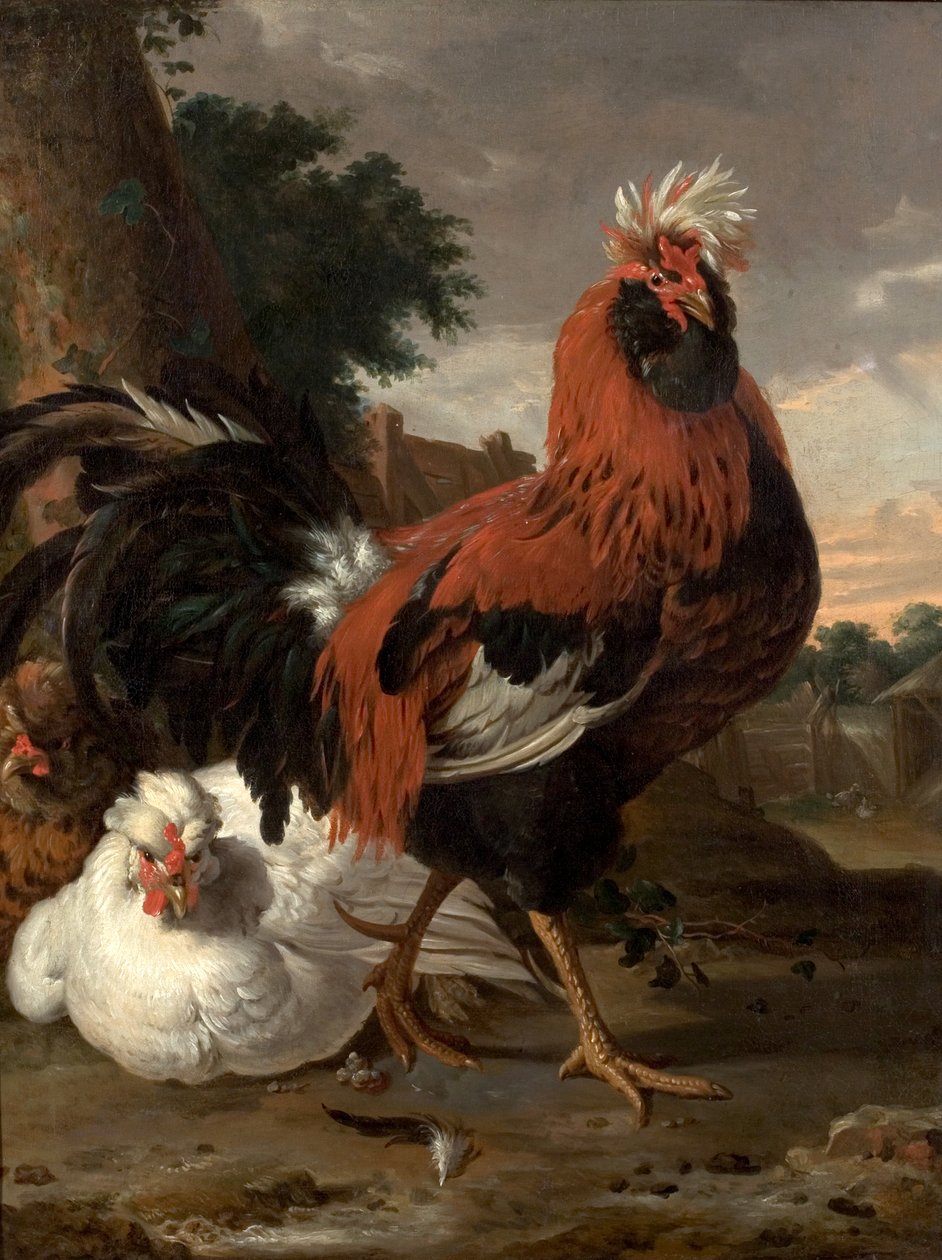 Fowl by Melchior de Hondecoeter