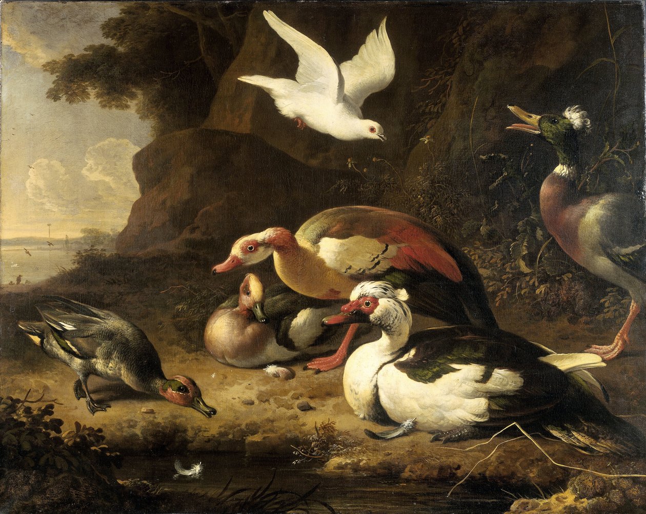 Ducks by Melchior d