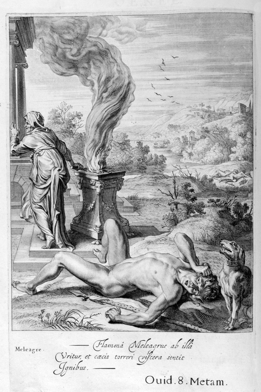 Meleager by Michel de Marolles