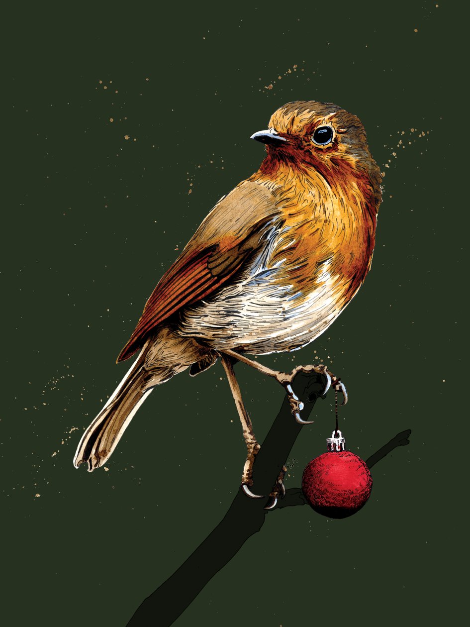 Christmas Robin on Forest Green by Mike Davis