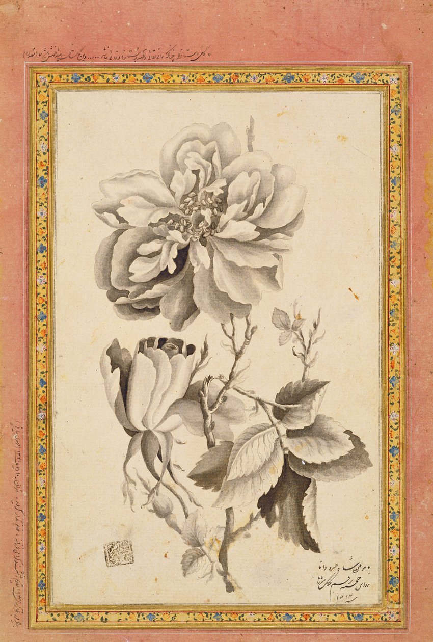 Rose, 1799-1800 by Mirza Baba