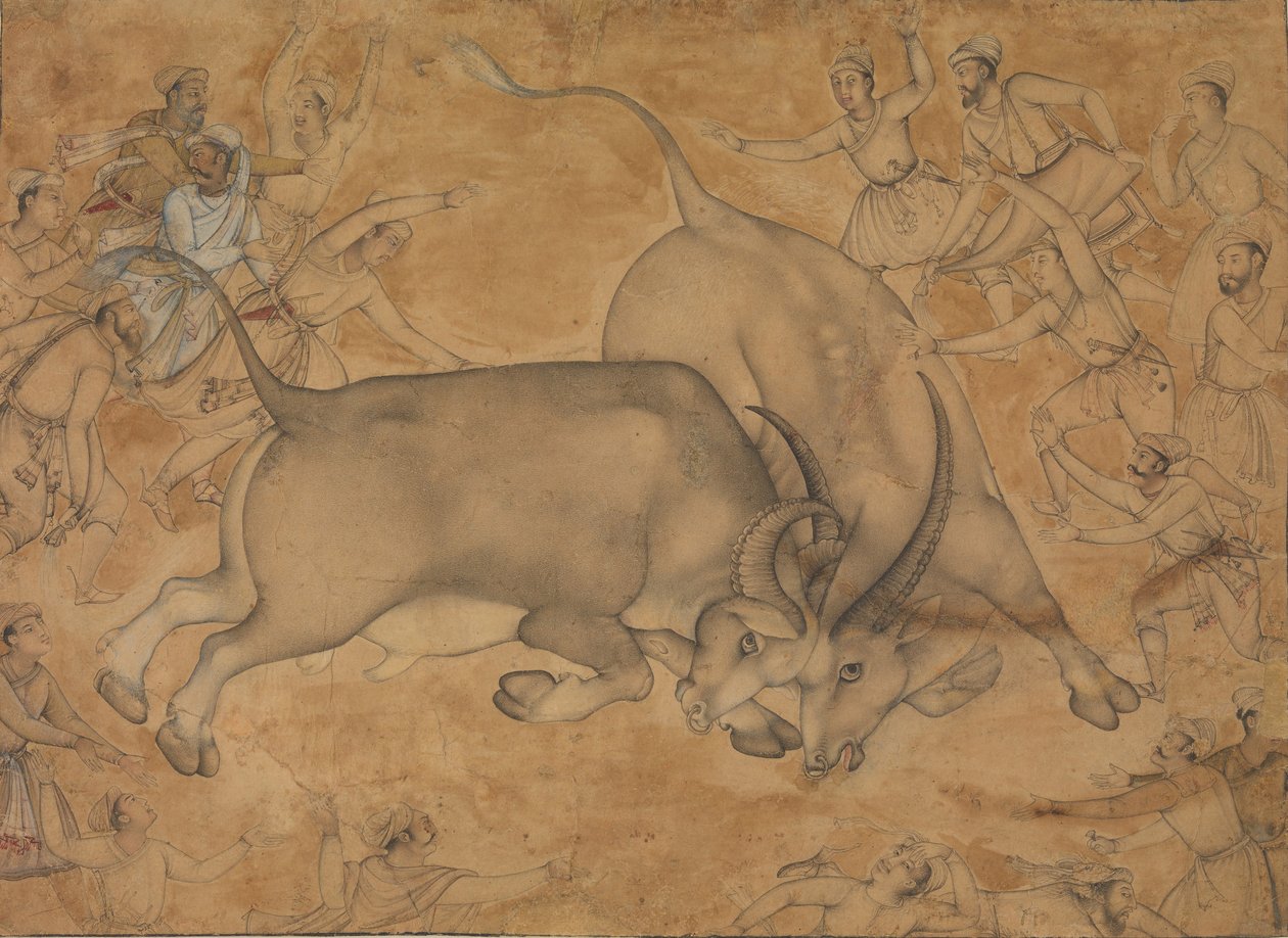 Buffaloes in Combat by Miskin.