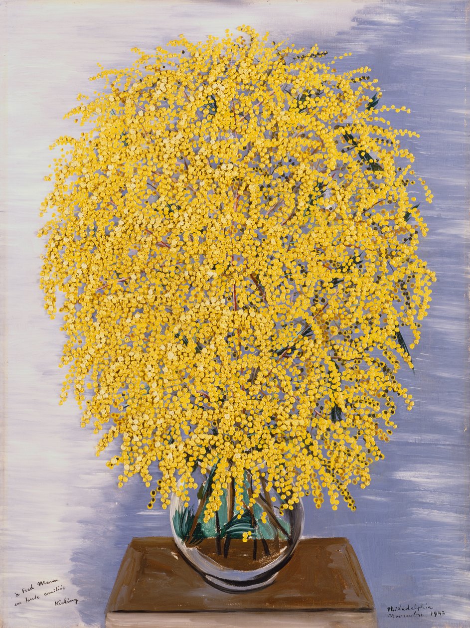 Mimosas by Moise Kisling