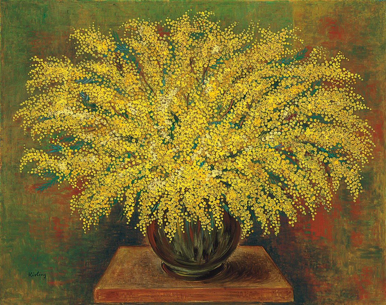 Mimosas by Moise Kisling